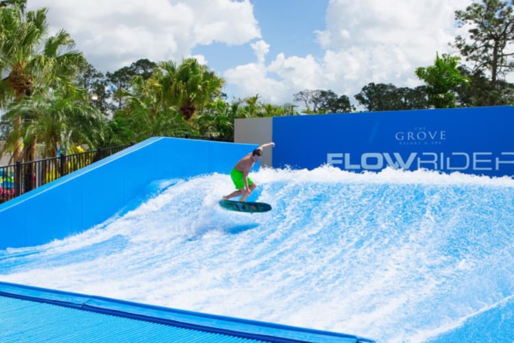 Double Surf simulator